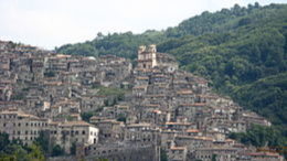 Artena comune